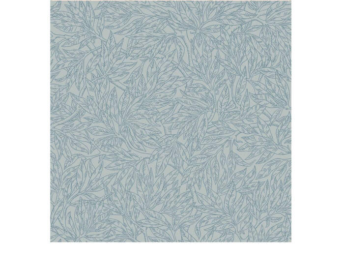 Salix Alba Wallpaper 7788
