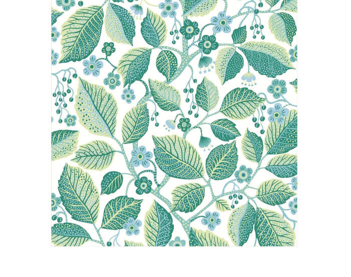 Elm Tree Wallpaper 7784