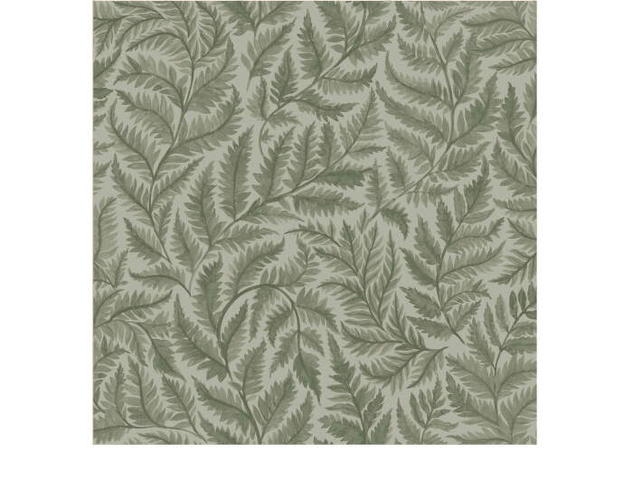 Ferns Wallpaper 7792