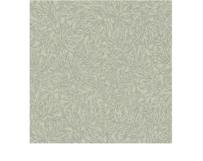 Salix Alba Wallpaper 7787