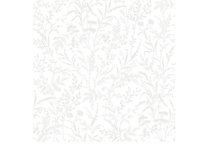 Borosan Florian Wallpaper 38746