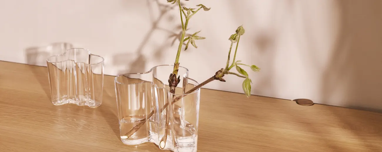 Aalto Vase od Iittala