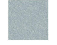 Salix Alba Wallpaper 7788