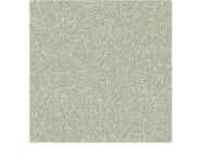 Salix Alba Wallpaper 7787