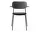 Co Chair with Armrest, black oak / Dakar 0842