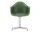 Eames Plastic Armchair DAL, forest / polished aluminum