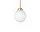 Apiales 1 Pendant, brushed brass/opal