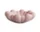 Bloom Tray Medio, rose