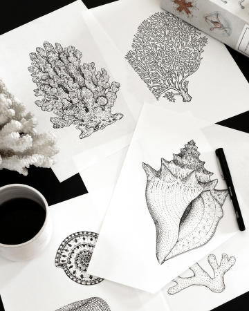 Katie Scott Fem Living